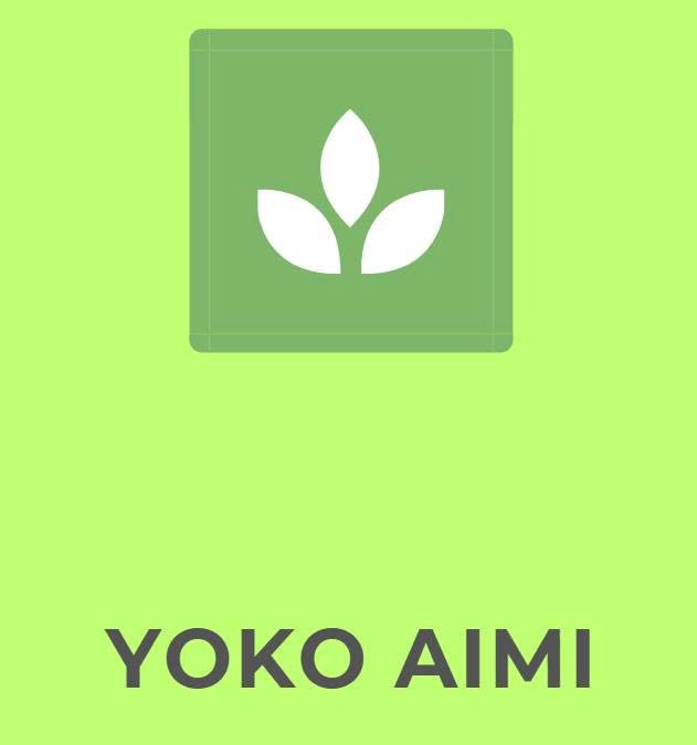 yokoaimi.basicshippinginc.com